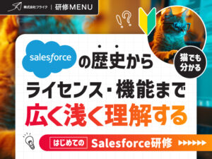 猫でもわかる！はじめてのSalesforce