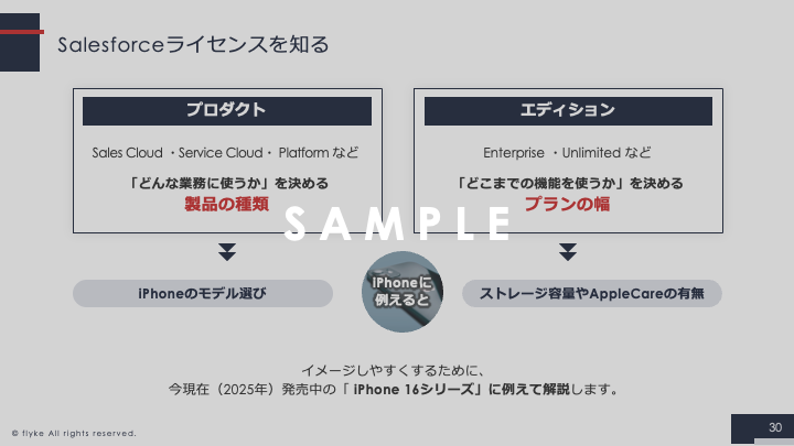 【ebook用】猫でもわかる！はじめてのSalesforce３